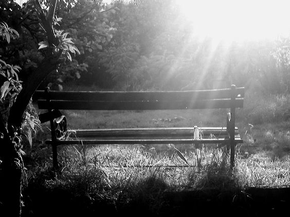 Hidden Places - Chair b &amp; w photo